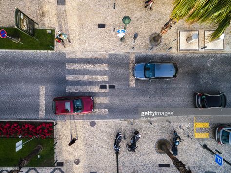 Stock Photo : Top View of Street with Palm Trees in a Beach Street Top View, Random Drawings, Free Stock Photos Image, Amazing Photos, Top View, Still Image, Royalty Free Images, Palm Trees, Street Photography