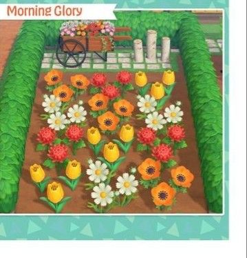 Flower Acnh, Flower Color Schemes, Yellow Cosmos, Red Anemone, Animal Crossing Funny, Garden Flower Beds, Orange Tulips, Animal Crossing Qr, Morning Glory