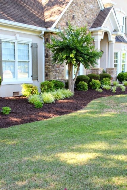 Edinburgh Landscape, Apartment Gardens, Landscape Makeover, Foundation Plants, Texas Landscape, Front Yards Curb Appeal, Cheap Landscaping Ideas, Landscape Curbing, Farmhouse Landscaping