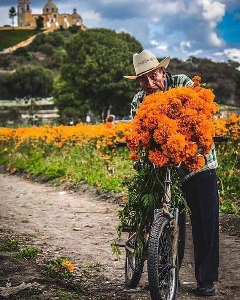 Mexican Artwork, Mexican Culture Art, Mexican Heritage, Mexico Culture, Mexico Art, Marigold Flower, Mexican Street, Visit Mexico, Mexican Decor