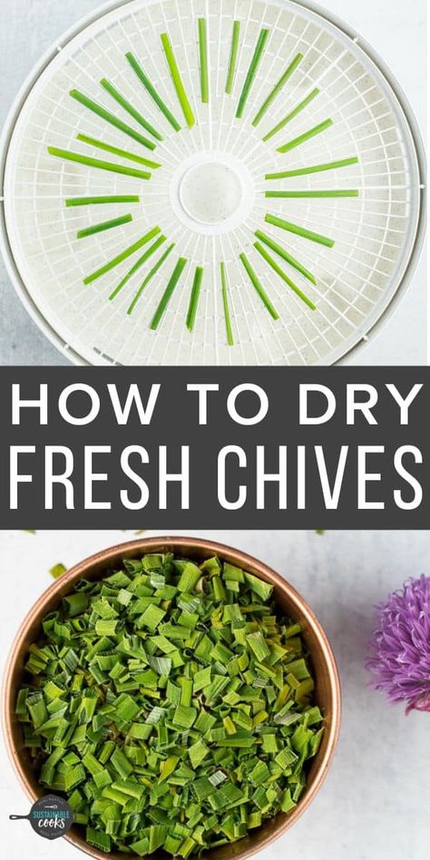 Drying Chives is such a simple way to preserve this delicious pantry staple! Learn how to dry chives in a food dehydrator or in the oven. Dehydrate Chives, Drying Chives, Freezing Onions, Pub Cheese, Dehydrating Food Storage, Greek Yogurt Eggs, Growing Chives, Preserving Herbs, Canning Tips