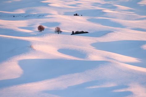 Snowy Palouse Hills...  as seen from Steptoe Butte, taken with very frozen fingers... Snowy Hills, Contemporary Novels, Dusk Till Dawn, Fiction Novels, Car Interior, Art Boards, Washington, Frozen, Acrylic Painting