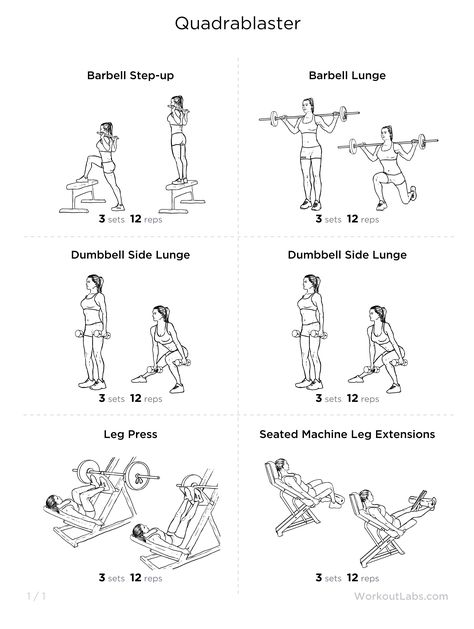 Quads-focused leg workout Quad Workout, Lower Body Workout Routine, Gym Routines, Weight Workouts, Lifetime Fitness, Protein Food, Quad Exercises, Leg Day Workouts, Printable Workouts