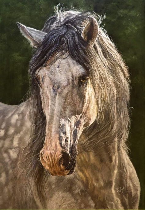 Paintings Of Horses, Drawing Horses, Wild Horse Pictures, Farm Animal Painting, Equine Artwork, Rare Horses, Animal Caricature, Painting Horse, Horse Pics