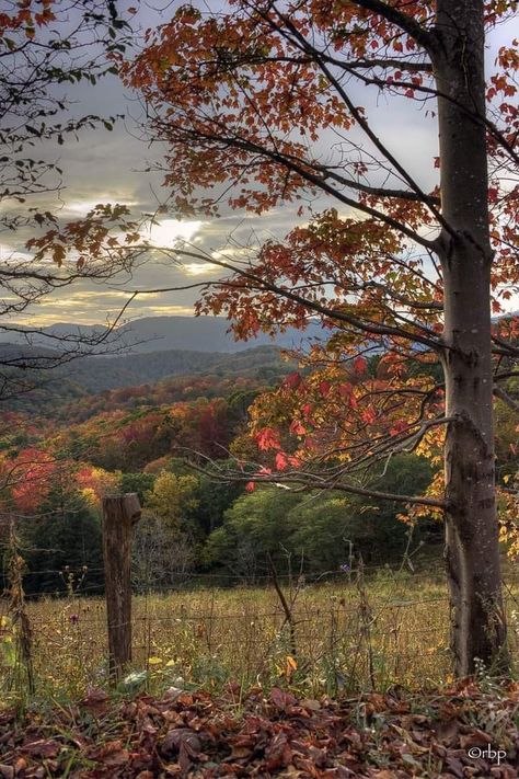 Randolph County, West Virginia Virginia Landscape, Line Stone, Autumn Scenery, Fabulous Fall, Autumn Beauty, Fall Weather, Growing Flowers, Second World, Screen Savers