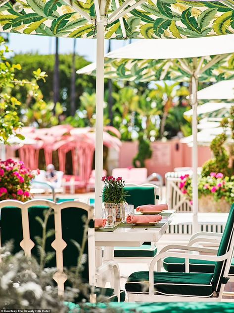 Nearly 200 Beverly Hills Hotel employees have worked at 'The Pink Palace' for over 20 years | Daily Mail Online Bahamas Style, Mid Century Patio Furniture, Pink Places, 60s Summer, Coffee Mood, The Beverly Hills Hotel, Miami Style, Coffee Room, Pink Palace