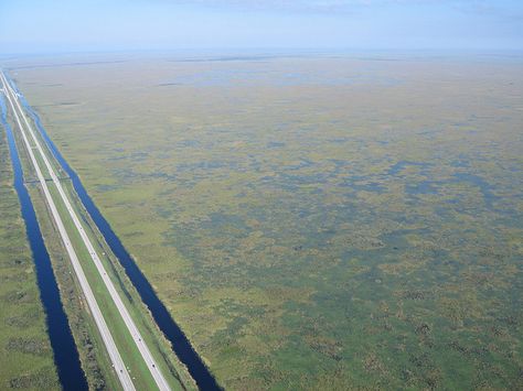 alligator alley florida | Alligator Alley | Flickr - Photo Sharing! Florida Nostalgia, Florida History, Beautiful Florida, Florida Life, Everglades Florida, Travel America, Everglades National Park, Book Board, Budget Vacation