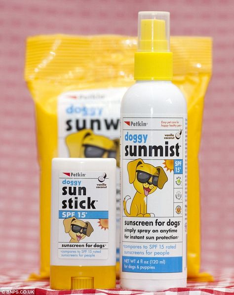 Sunscreen is OTC product and needs to be approved by the FDA. It is not compliant to put on an SPF on the label Dog Skin Care, Dog Agility, Pet Hacks, Dog Show, Family Dogs, Pet Health, Pet Lovers, My New Room, Animal Shelter