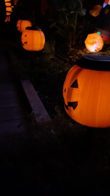 Solar Halloween Lights, Solar Pumpkin Lantern, Halloween Pumpkin Solar Lights, Solar Light Halloween Decorations, Pumpkin Lights Outside, Solar Light Jack O Lantern, Pumpkin Pathway Lights, Light Up Pumpkins Outdoor Diy, Diy Pumpkin Lights