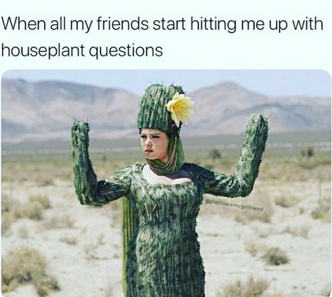 Twenty-Nine Plant Memes For Lovers Of Botany - Memebase - Funny Memes Plant Jokes, Gardening Memes, Gardening Humor, Funniest Memes, Star Wars Memes, Plant Mom, Plant Lady, For Lovers, Plant Life