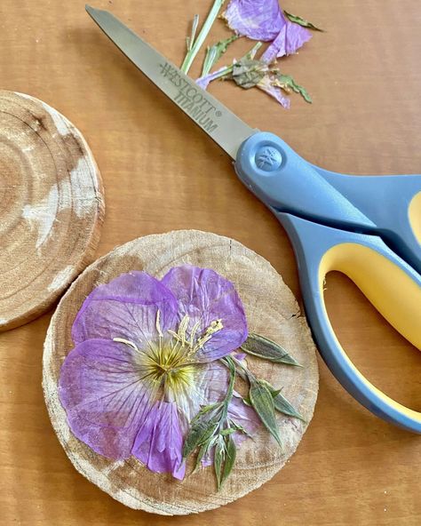 whattodowithpressedflowers Herb Crafts, Beadboard Kitchen, Press Flowers, Pressing Flowers, Decoupage Plates, Flower Projects, Flower Coasters, Pressed Flower Crafts, Camp Crafts