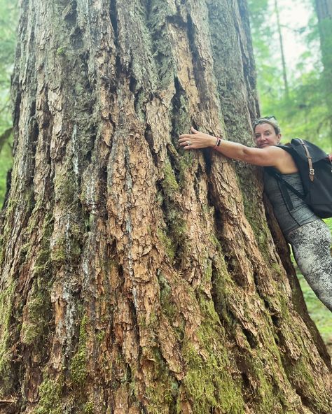 🌲 Forest Bathing: Nature’s Therapy 🌿 Have you heard of forest bathing? It’s not about taking a literal bath in the forest, but rather immersing yourself in the sights, sounds, and smells of nature. Originating from Japan and known as “Shinrin-yoku,” forest bathing has been scientifically proven to offer a multitude of health benefits. What is Forest Bathing? Forest bathing involves mindfully spending time in nature, fully engaging your senses to soak up the calming atmosphere. It’s a practi... Spending Time In Nature, Shinrin Yoku, Time In Nature, Forest Bathing, Calming Atmosphere, In The Forest, In Nature, The Forest, Health Benefits