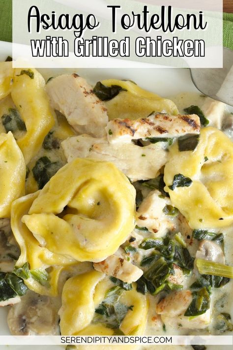 Tuna Tetrazzini Recipe, Creamy Spinach Tomato Tortellini, Tuna Tetrazzini, Spinach Tomato Tortellini, Blackstone Grill Recipes, Tomato Tortellini, Spinach Tomato, Blackstone Grill, Easy Chicken Dinner Recipes