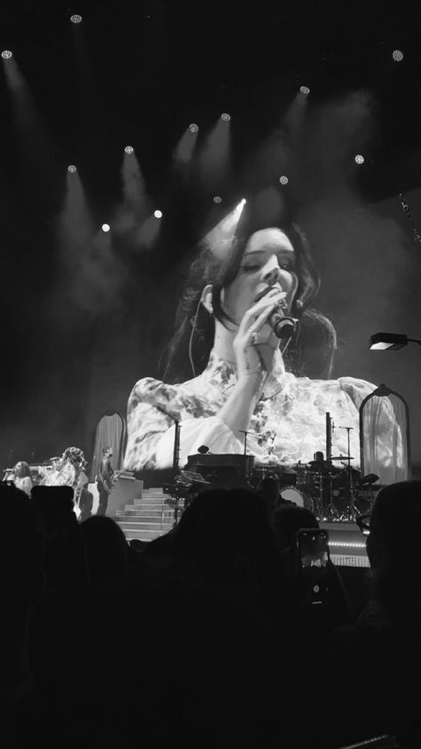 Lana Del Rey Aesthetic Concert, Lana Del Ray Concert Aesthetic, Lana Del Rey Concert Aesthetic, Lana Del Ray Concert, Concert Journal, Lana Concert, Lana Del Rey Tour, Tunnel Under Ocean Blvd, Concert Signs