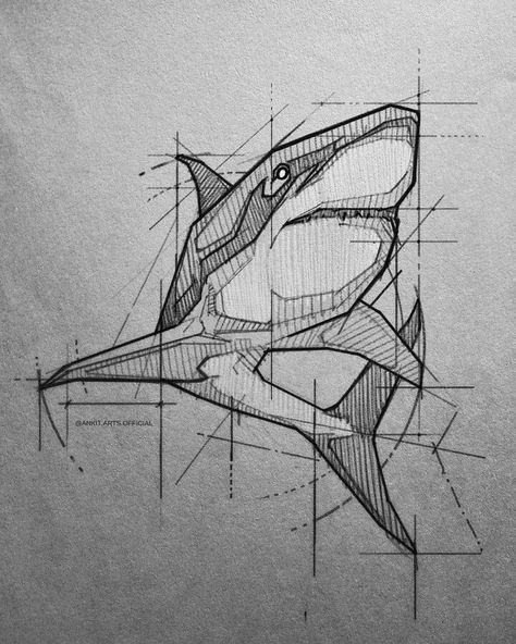 Stylised Designer Pencil Animal Drawing. Artline Drawing, Shark Illustration, Shark Drawing, Drawing Procreate, Animal Drawings Sketches, Draw Ideas, Shark Art, Procreate Art, Animal Drawing