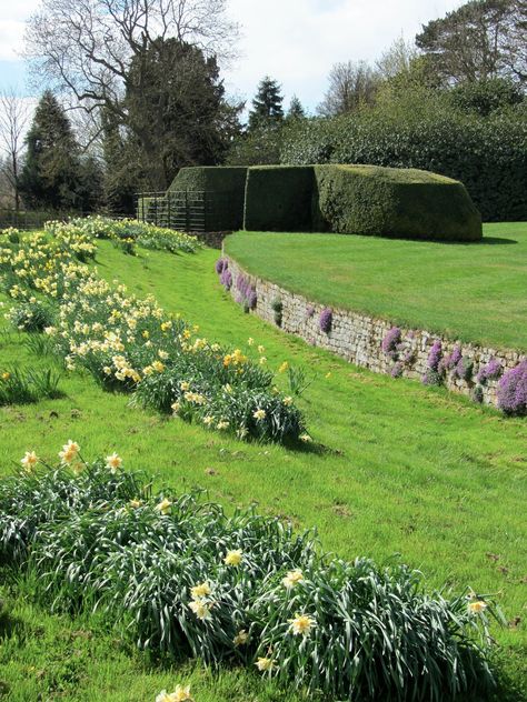 The stone wall in this picture is a ha-ha! It is a feature used in landscape garden design to keep grazing livestock out of a garden while providing an ... Ha Ha Wall, Spring Walk, Landscape Garden Design, Ireland Pictures, Italy House, Stone Retaining Wall, Fruit Infused Water Bottle, Green Pasture, Landscape Garden