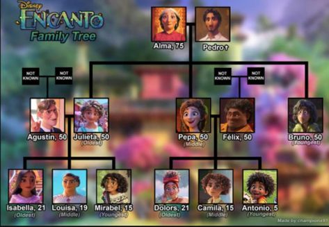 Encanto Characters Names, Encanto Family Tree, Disney Family Tree Theory, Encanto Oc, Plastic Bottle Crafts Flowers, Encanto Family, Encanto Characters, Family Madrigal, Disney Cuties