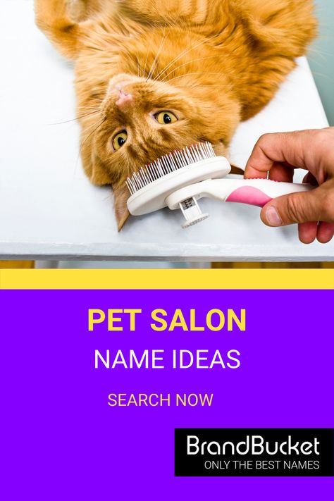 Have you been looking for a brand name for your pet grooming salon? We have plenty of options! Get a premium brand name here! pet grooming salon, pet grooming business, pet grooming van, pet grooming shop, pet boarding business names, pet grooming business names, dog grooming, dog grooming salon ideas, dog grooming salons, cat grooming salon, cat groomer, business name generator, business name ideas unique, clever startup name, catchy business name Grooming Salon Names, Cat Grooming Salon, Business Name Ideas Unique, Grooming Salon Ideas, Dog Grooming Salon Ideas, Name Ideas Unique, Pet Grooming Shop, Grooming Salons, Names Dog