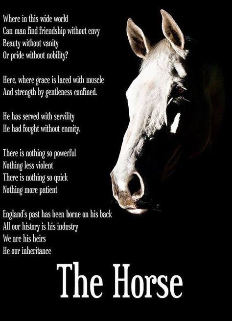 Horseback Riding Quotes, Horse Poems, Inspirational Horse Quotes, Horse Riding Quotes, Farming Life, Equestrian Quotes, Riding Quotes, Cowgirl Quotes, Horse Inspiration