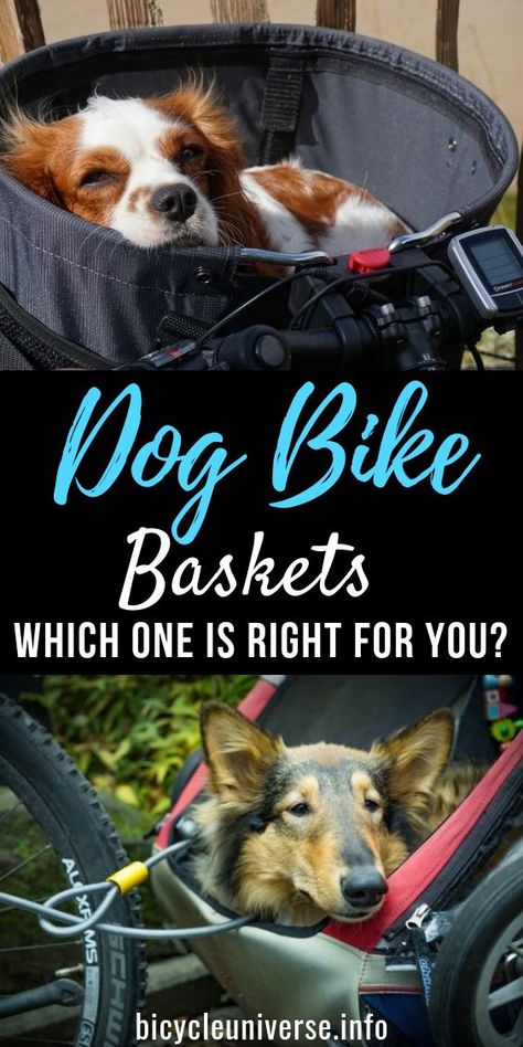 Dog Bike Baskets: Which one is right for you? #bike #stylishbikes #cycling #trafficrules #bicycleuniverse #cyclingcheap #cyclingsafe #blogging #bike #stylishbikes #cycling #bicycle #trafficrules #bicycleuniverse #cyclingcheap #cyclingsafe #blogging #cyclingquotes #motivationalquotes #quotes #bicyclehelmet #howtofixbicycletires #bicycletires #cyclingcommuting #bikepads Dog Bike Seat, Dog Bike Carrier, Dog Bike Basket, Mountain Bike Tattoo, Basket Bike, Best Beach Chair, Bike Baskets, Dog Bike, Biking With Dog