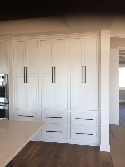 Whole Wall Kitchen Pantry, Tall Kitchen Pantry Cabinet Storage Ideas, Pantry Closed Cabinet, 12 Inch Depth Pantry, Large Cabinet Pantry, Built In Pantry Cabinet Wall With Drawers, Added Kitchen Cabinets, Full Wall Of Cabinets, Full Length Pantry Cabinet