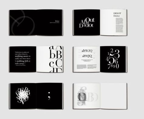 Concept Book Design, Type Book Design, Typeface Specimen Book, Type Book Cover, Type Specimen Booklet, Typography Book Layout, Typography Book Design, Booklet Design Layout, Design De Configuration