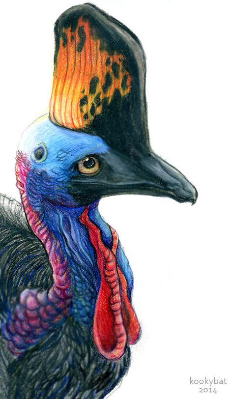 Cassowary Bird, Snake Sketch, Realistic Animal Drawings, Tropical Painting, Flower Art Drawing, Prismacolor Pencils, Puzzle Art, Fantasy Art Landscapes, Animal Sketches