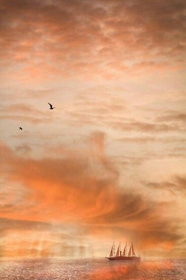 Peach Bedding, Peach Wallpaper, Peach Aesthetic, Shades Of Peach, Pale Orange, Orange Aesthetic, Cloudy Sky, Coral Peach, Just Peachy