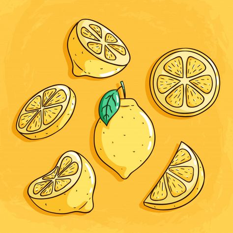 Fresh lemon fruits with cute colored doo... | Premium Vector #Freepik #vector #food #hand #summer #leaf Lemon Doodle Drawing, How To Draw A Lemon, Cute Lemon Drawing, Lemons Drawing, Draw Lemon, Lemon Doodle, Drawing Lemon, Lemon Vector, Lemon Logo