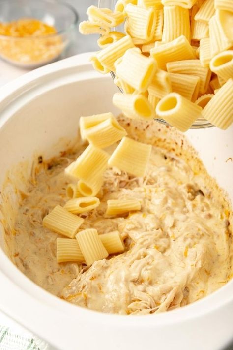 Crockpot Cheesy Chicken Rigatoni Recipe - MenuPlans.com Making Menu Planning Easy! Crockpot Rigatoni Recipe, Crockpot Rigatoni, Cheesy Chicken Rigatoni, Rigatoni Casserole, Crockpot Cheesy Chicken, Chicken Rigatoni, Rigatoni Recipe, Rigatoni Recipes, Rigatoni Pasta