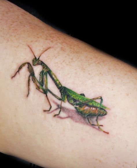 Prey Mantis Tattoo, Praying Mantis Tattoo Simple, Cute Praying Mantis, Praying Mantis Tattoo, Prey Mantis, Realistic Tattoo Ideas, Forearm Tats, Mantis Tattoo, Scene Tattoo