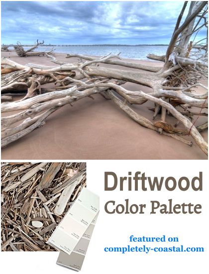 Driftwood has a wide range of browns and beiges and makes for a beautiful soothing decor color scheme. Any color can be added to this neutral palette. Featured on Completely Coastal. Blue Room Paint, Natural Color Scheme, Sea Salt Paint, Beach Color Schemes, Coastal Color Palettes, Coastal Color Scheme, Driftwood Color, Timeless Paint Colors, Beach Color Palettes