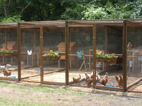 New chicken pens we built. | BackYard Chickens Chicken Coop Building, Chicken Pens, Reban Ayam, Urban Chicken Farming, Chicken Pen, Chicken Coop Run, Urban Chickens, Chicken Coop Designs, Keeping Chickens