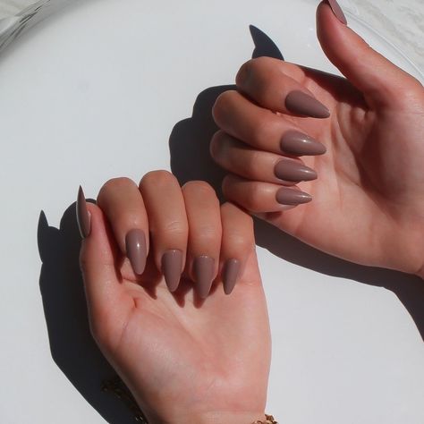 Fall Almond Nails, Almond Acrylic Nails Designs, Almond Nails French, Long Almond Nails, Manicured Nails, Brown Acrylic Nails, Short Almond Nails, Almond Shape Nails, Basic Nails