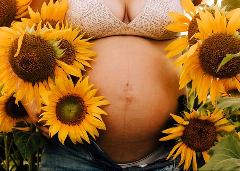 Fall Maternity Shoot, Fall Maternity Pictures, Sunflower Field Photography, Pregnancy Announcement Photoshoot, Maternity Photography Poses Outdoors, Baby Announcement Photoshoot, Cute Pregnancy Pictures, Outdoor Maternity Photos, Maternity Photography Poses Couple