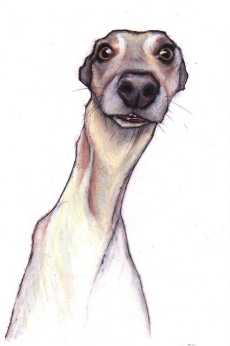 Whippet Art, Pencil Artists, North Norfolk, Greyhound Art, 강아지 그림, Colour Pencil, Uk Artist, Dog Illustration, Arte Animal