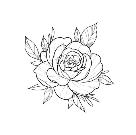 Female Tattoo Designs For Women, Line Work Flash Sheets, Tattoo Crane, Traditional Tattoo Outline, Flori Din Lut, Flower Tattoo Stencils, Rose Tattoo Stencil, Stencil Flower, Rose Drawing Tattoo