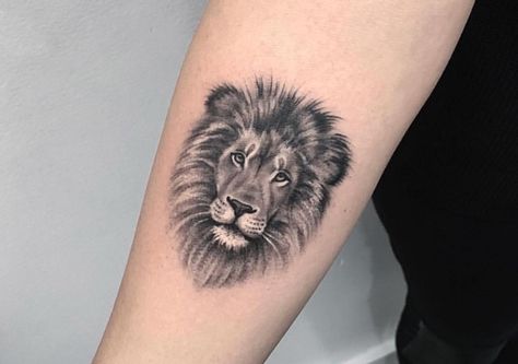 Tattoo Lower Back, Tattoo Makeup Coverup, Small Lion Tattoo, Animal Tattoos For Women, Dragons Tattoo, Tattoo Lion, Lion Head Tattoos, Lion Tattoo Design, Tasteful Tattoos