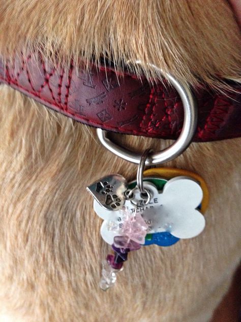 Dog Charms Collar, Crystal Dog Collar, Dog Crystals, Pet Healing, Collar Ideas, Dog Collar Charms, Dog Corner, How To Make Crystals, Diy Dog Collar