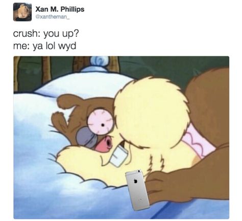 You while texting your crush: | 21 Pictures That'll Make Awkward People Laugh Harder Than They Should Spongebob Characters, Sandy Cheeks, Spongebob Memes, Sponge Bob, One Direction Infection, I Love One Direction, People Laughing, Spongebob Squarepants, Having A Crush