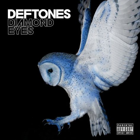 Deftones - Diamond eyes final press album cover , owls mean wisdom , deftones are one of my favorite bands, win win situation ! Deftones Diamond Eyes, Deftones Change, The Deftones, Funky Posters, Around The Fur, Owl Wallpaper, Music Board, The Patriot, Room Stuff