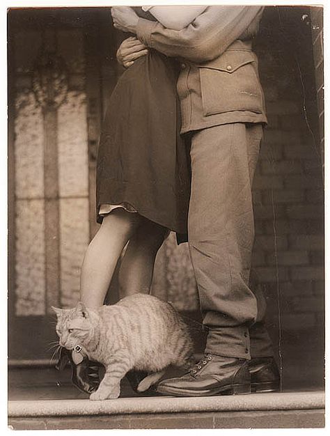 Soldier's goodbye & Bobbie the cat, ca. 1939-ca. 1945 / by Sam Hood by State Library of New South Wales collection 1940 Photos, Old Fashioned Love, Postal Vintage, Vintage Couples, Vintage Versace, Vintage Romance, Foto Vintage, Old Love, Oscar Wilde