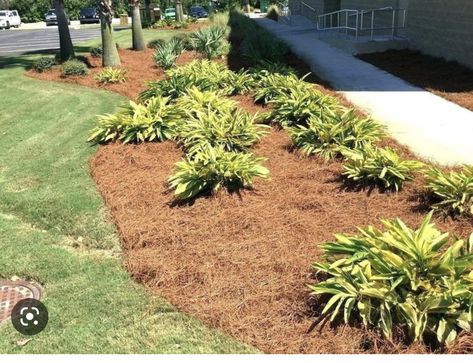 Pine Straw Landscaping, Small Yard Landscaping, Pergola Pictures, Making Plant Pots, Backyard Flowers, Pergola Attached To House, Diy Raised Garden, Raised Garden Beds Diy, Lawn And Landscape