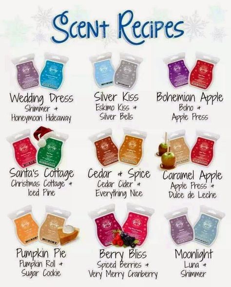 Scentsy Hacks, Scentsy Bundles, Scentsy Mixers, Scentsy Posts, Scentsy Mixology, Scent Recipes, Scentsy Order, Scentsy Consultant Business, Scentsy Games