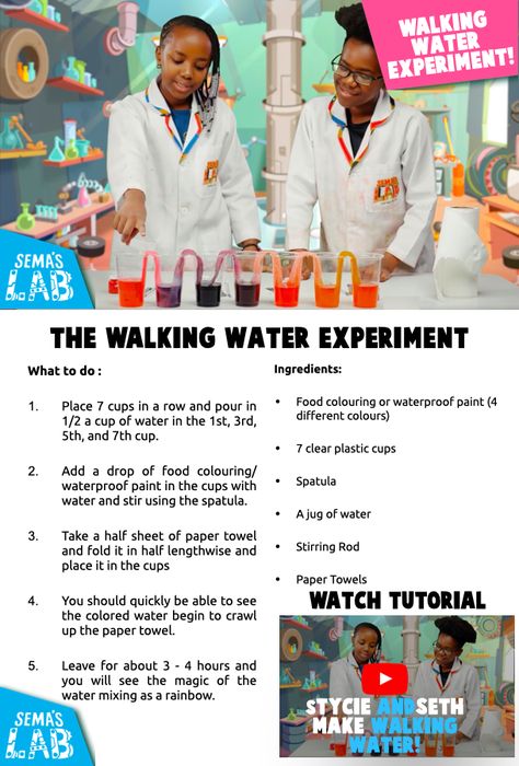 Have you ever seen water walking? Well, you just might after doing this colorful and exciting experiment. Watch, learn, and try it out at home. Walking Rainbow Experiment, Walking Water Science Experiment, Stem Fair Projects, Walking Water Experiment, Water Experiments For Kids, Science Fair Board, Science Fair Experiments, Water Science Experiments, Rainbow Experiment