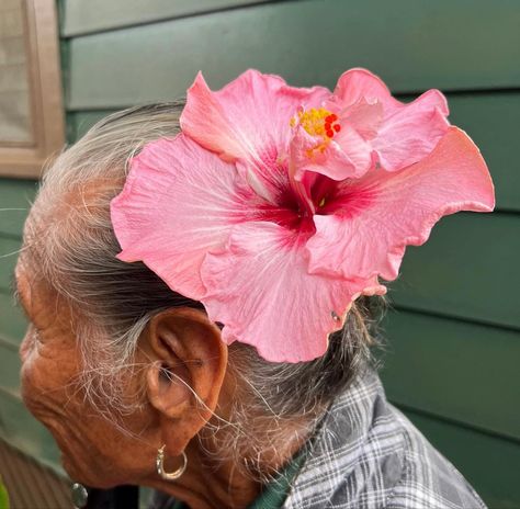 Lihue Hawaii, Lihue Kauai, Native Flowers, Nothing But Flowers, A Breath Of Fresh Air, Flower Therapy, Getting Dressed, Breath Of Fresh Air, Flower Lover