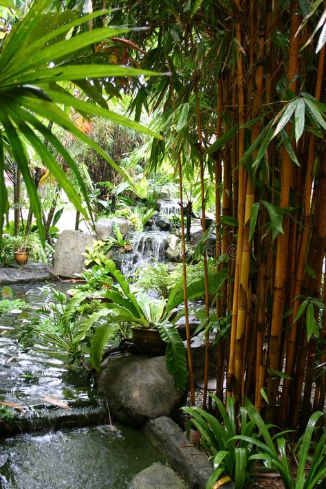 Malaysian Garden, Malaysia Garden, Garden Transformation, Rock Waterfall, Tropical Garden Design, Nature Park, Better Tomorrow, Fish Pond, Garden Photos