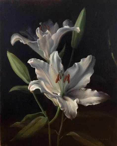 Inspo For Drawing, Lily Aesthetic, Art In Black And White, Study Art, Lily Painting, Flower Paintings, Flower Therapy, White Lilies, Still Life Art