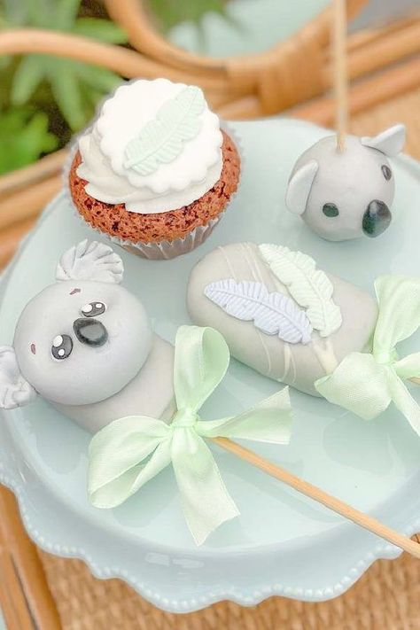 Take a look at this cute koala birthday party! The party food is awesome! See more party ideas and share yours at CatchMyParty.com Koala Cake Pops, Koala Bear Cupcakes, Diy Koala Cake, Koala Smash Cake, Koala Bday Party, Wedding Cake Pops, Birthday Cake Pops, Baby Shower Cake Pops, Cupcake Flavors