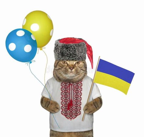 ^ Cat holding Ukrainian flag 🇺🇦💙🇺🇦 © Iryna Kuznetsova | Dreamstime Flag Of Ukraine, Beige Cat, Ukraine Flag, Ukrainian Flag, Cat Holidays, The Flag, Wind Sock, Ukraine, White Background